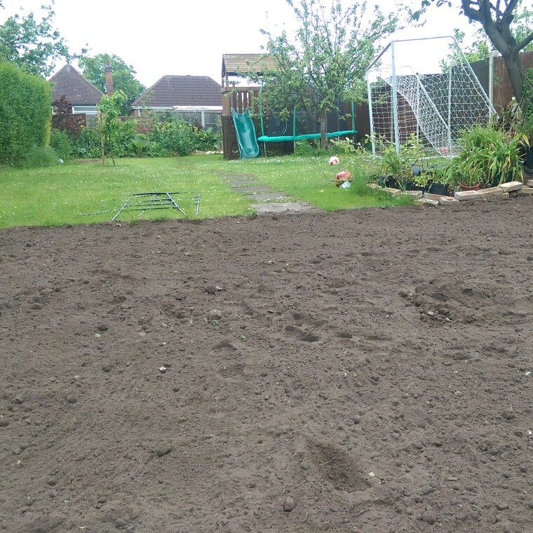 N's garden