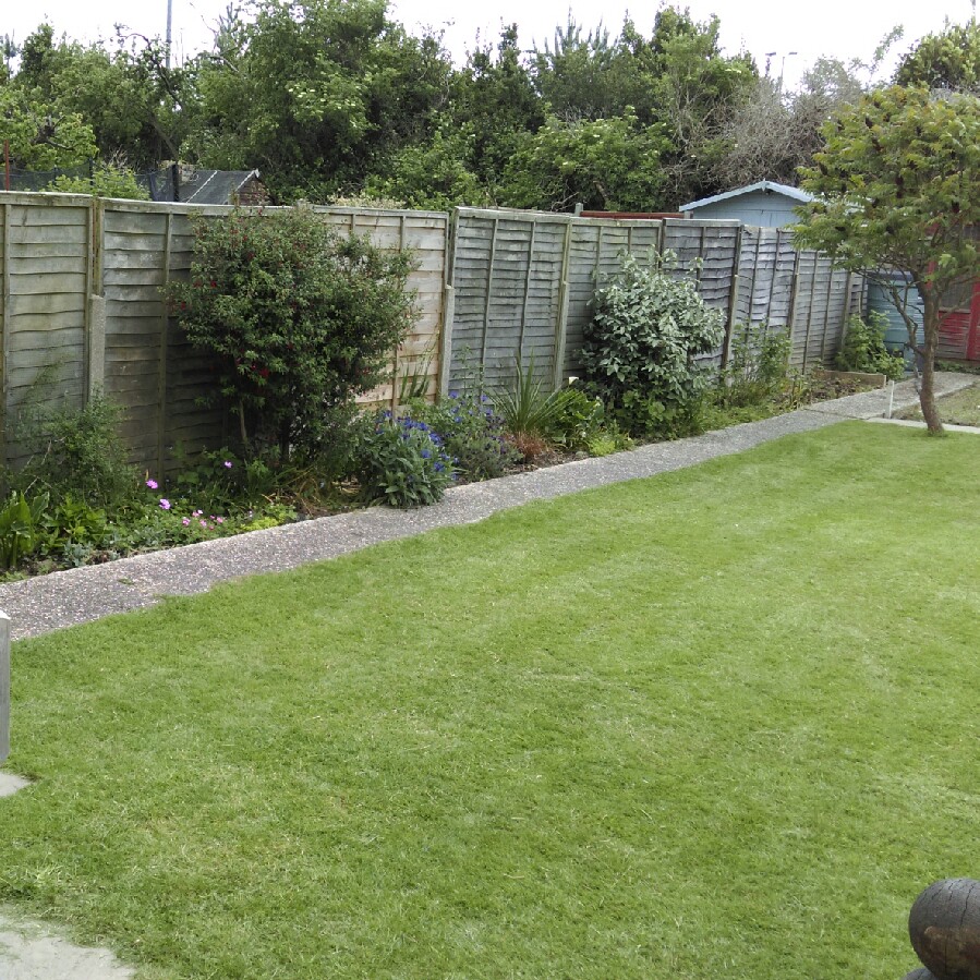 Charlotte's garden