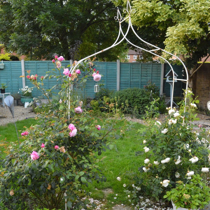 Laura's garden
