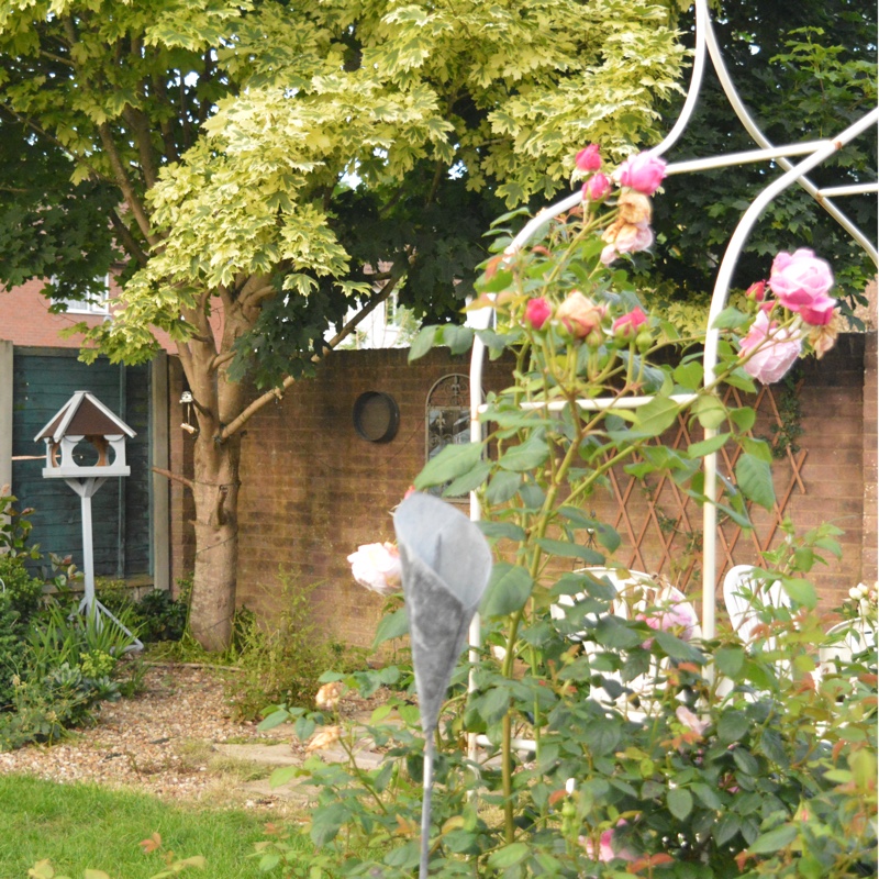 Laura's garden