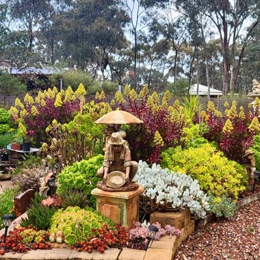 Lee's garden