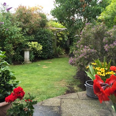 Lesley's garden