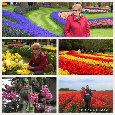 Lesley's garden
