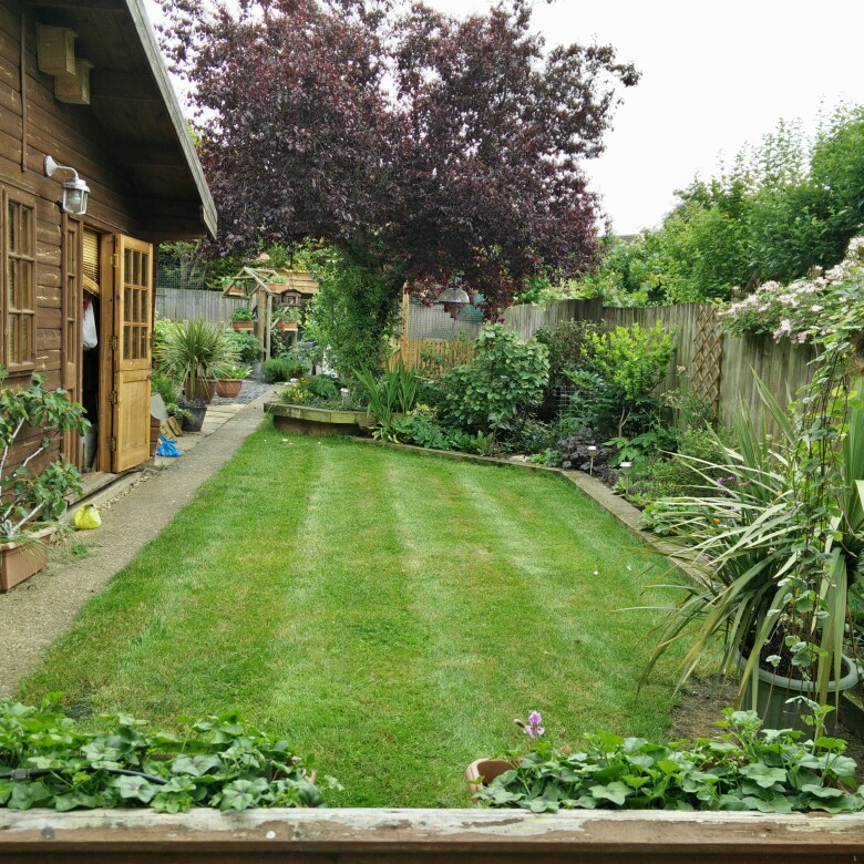Lel's garden
