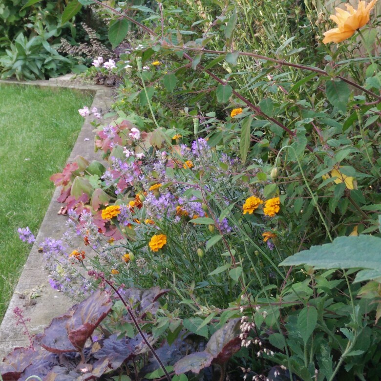 Lel's garden