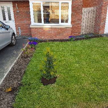 Leonie's garden