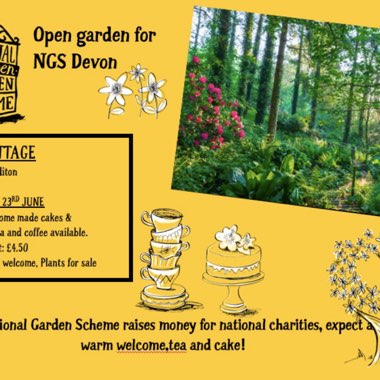 Richard's garden