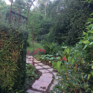 Richard's garden
