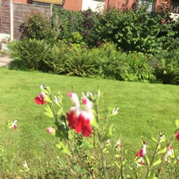 Catherine's garden