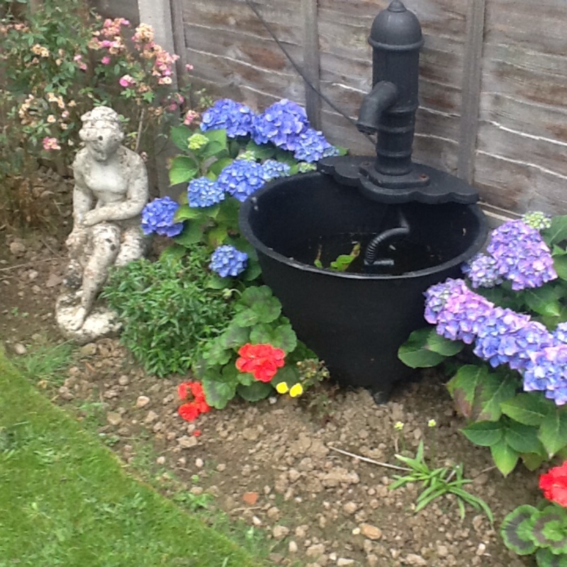 Linda's garden