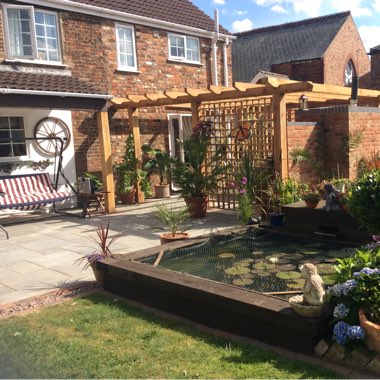 Lin's garden