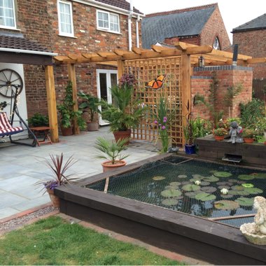 Lin's garden