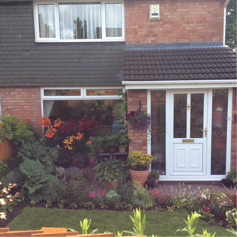 Lisa's garden