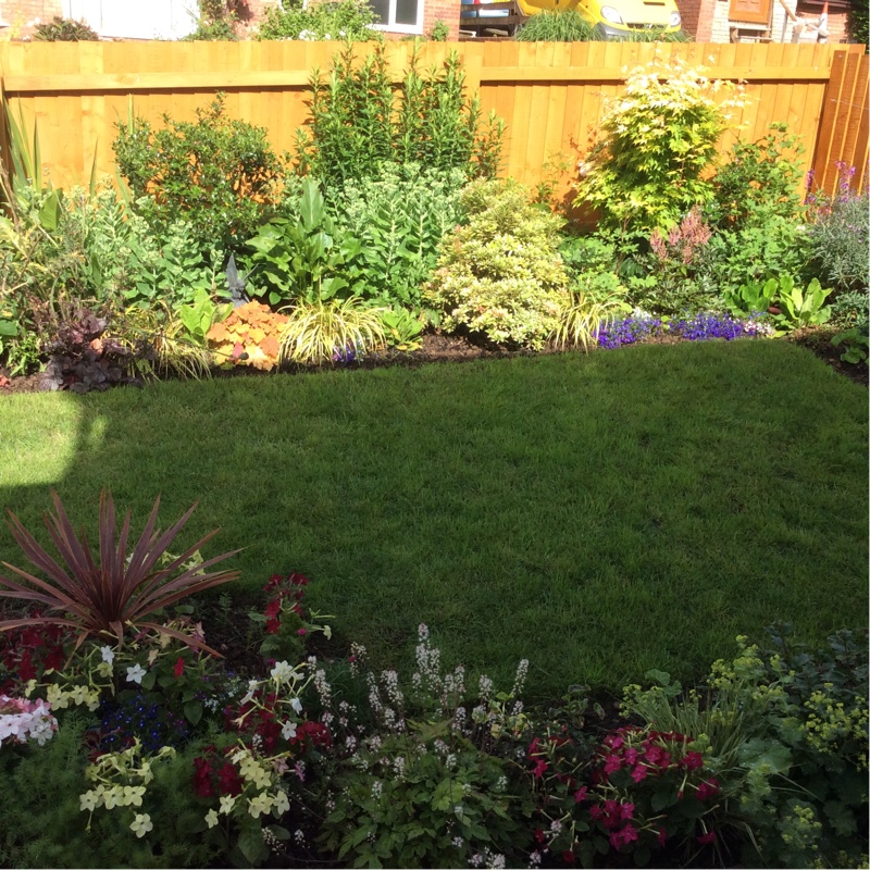 Lisa's garden