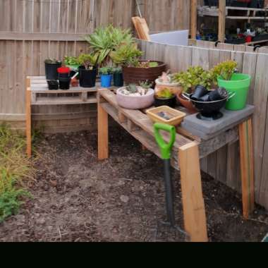 Lisa's garden