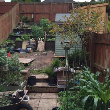 Lisa's garden