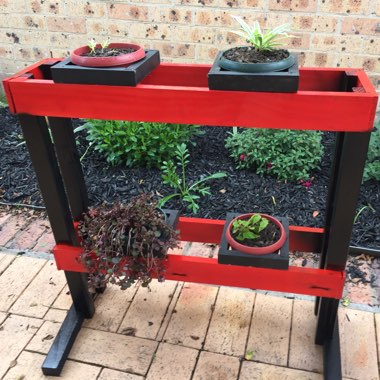 Stacey's garden