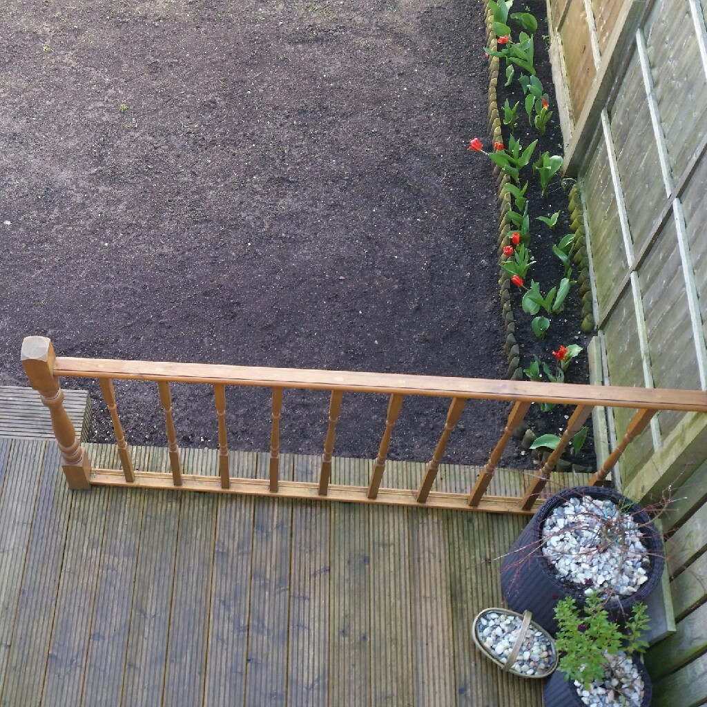 Oscar's garden