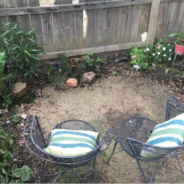 Olivia's garden
