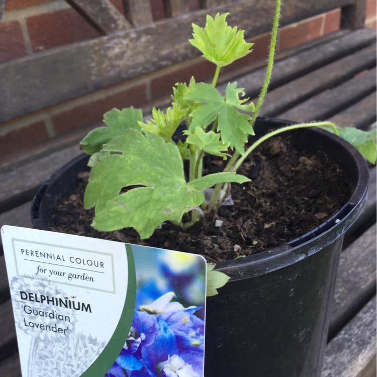 plant image 210119