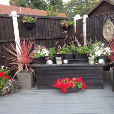 Lorraine's garden