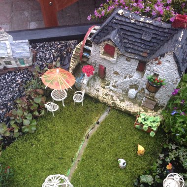 Lorraine's garden