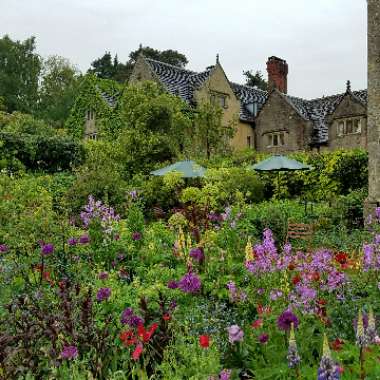 Shem's garden