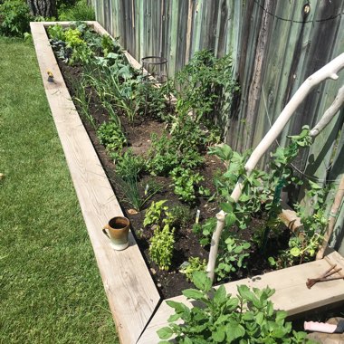 Loralie's garden