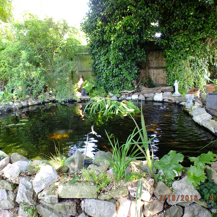 Janet's garden