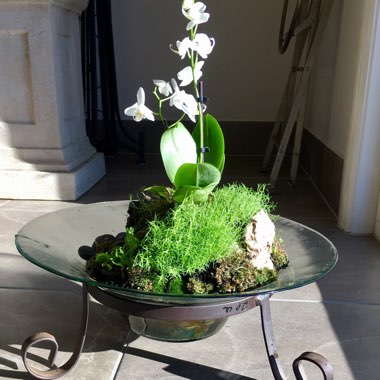 Merryl's garden