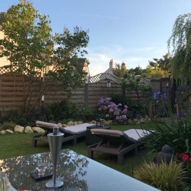 Angela's garden