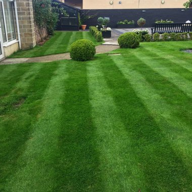 Louis's garden