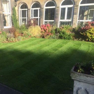Louis's garden