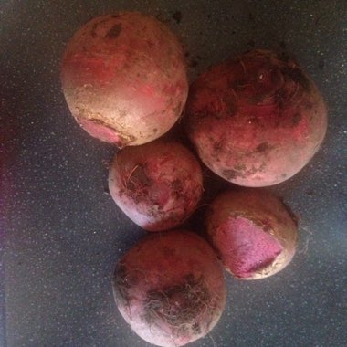Beta Vulgaris