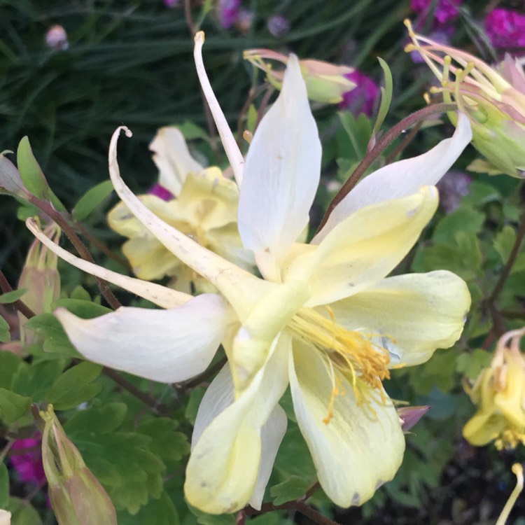 plant image 1080825