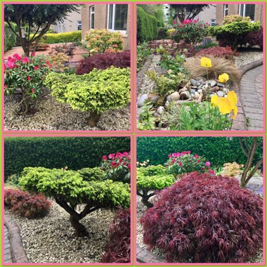 Marilyn's garden