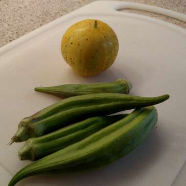 Cucumis Sativus 'Lemon '