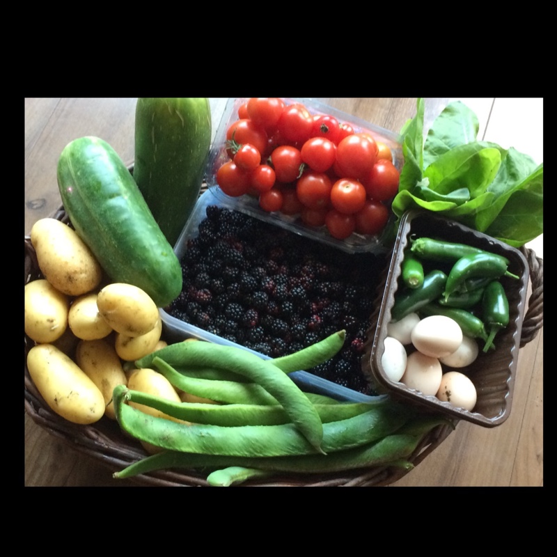 Lyndsey's garden