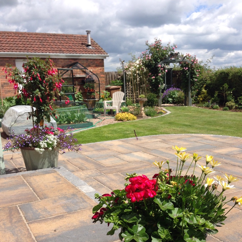 Lynn's garden