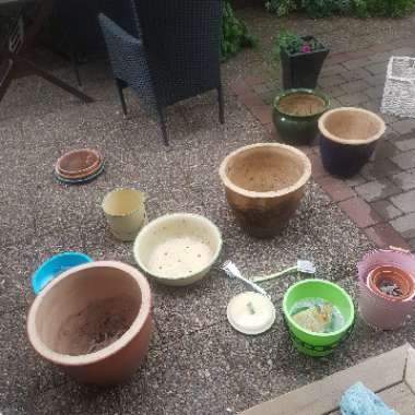 Linn's garden