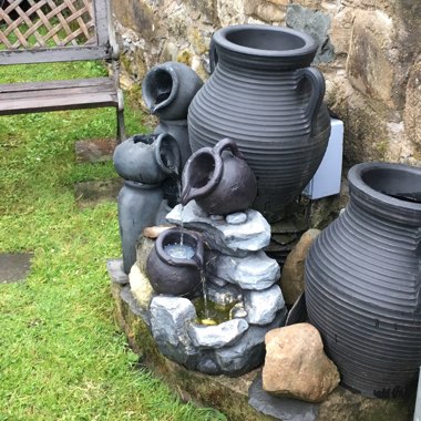 Lynne's garden