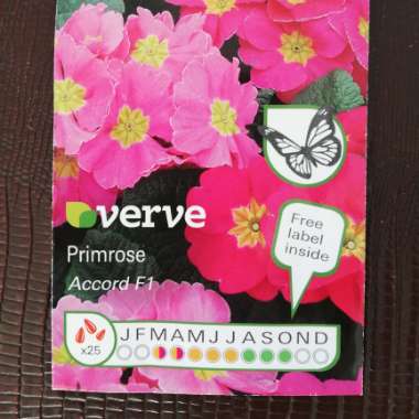 Primula