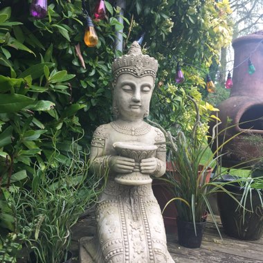 Maddie's garden