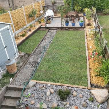 Mark's garden