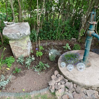 Madelene's garden