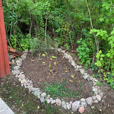 Madelene's garden