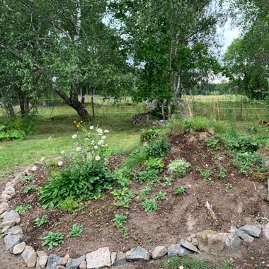 Madelene's garden