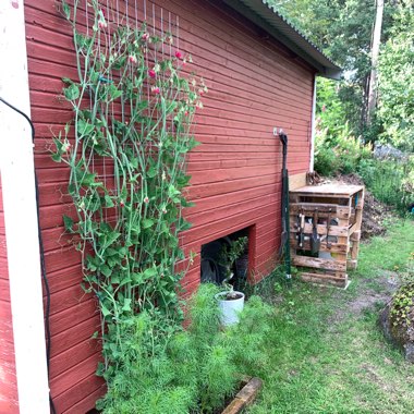 Madelene's garden