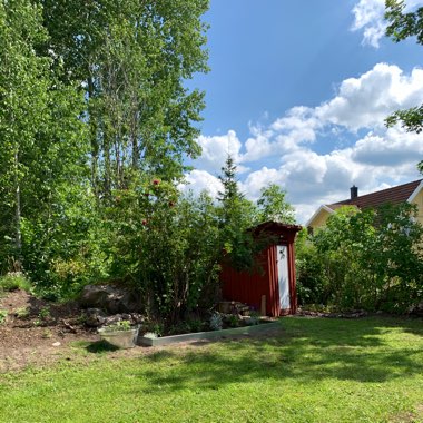 Madelene's garden