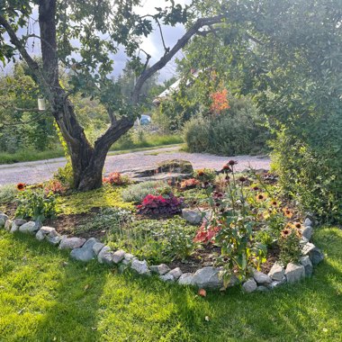 Madelene's garden